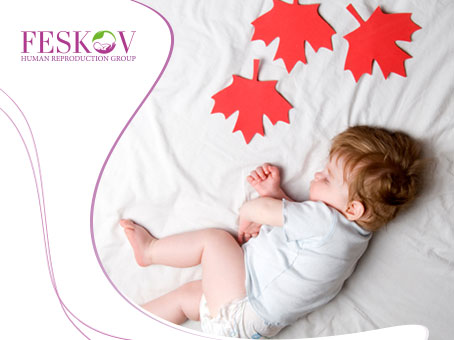 Programa internacional de maternidade de substituição Ucrânia-Canadá  picture