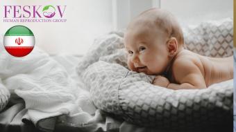 opiniones A****** ve K*****