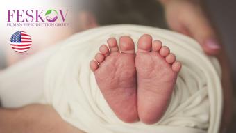 opiniones H****** ve P********