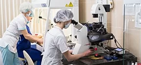 Mitokondriell behandling/Pronukleär överföring för Guarantee IVF Mitokondriell behandling/Pronukleär överföring för Guarantee IVF